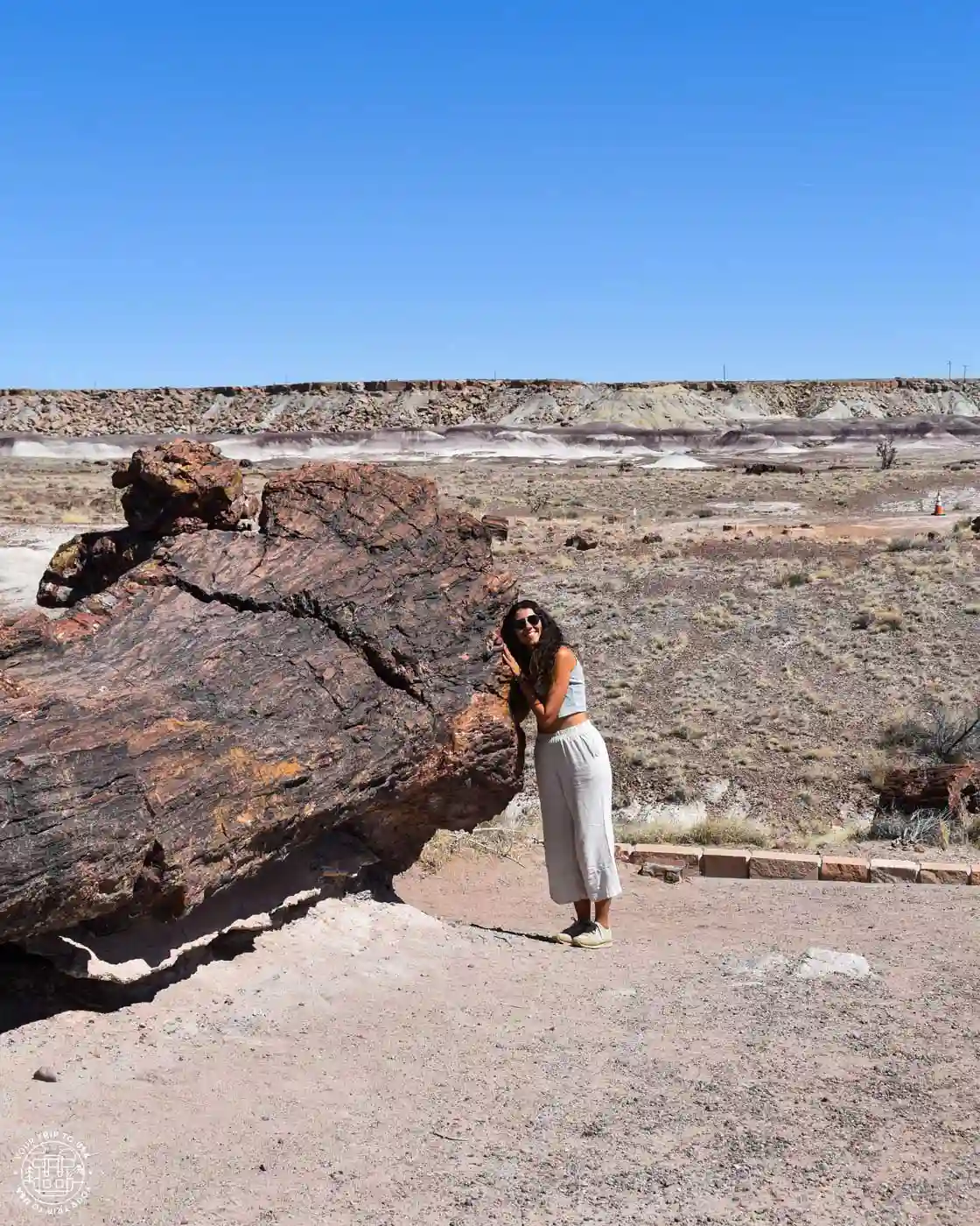 Petrified Forest, Arizona