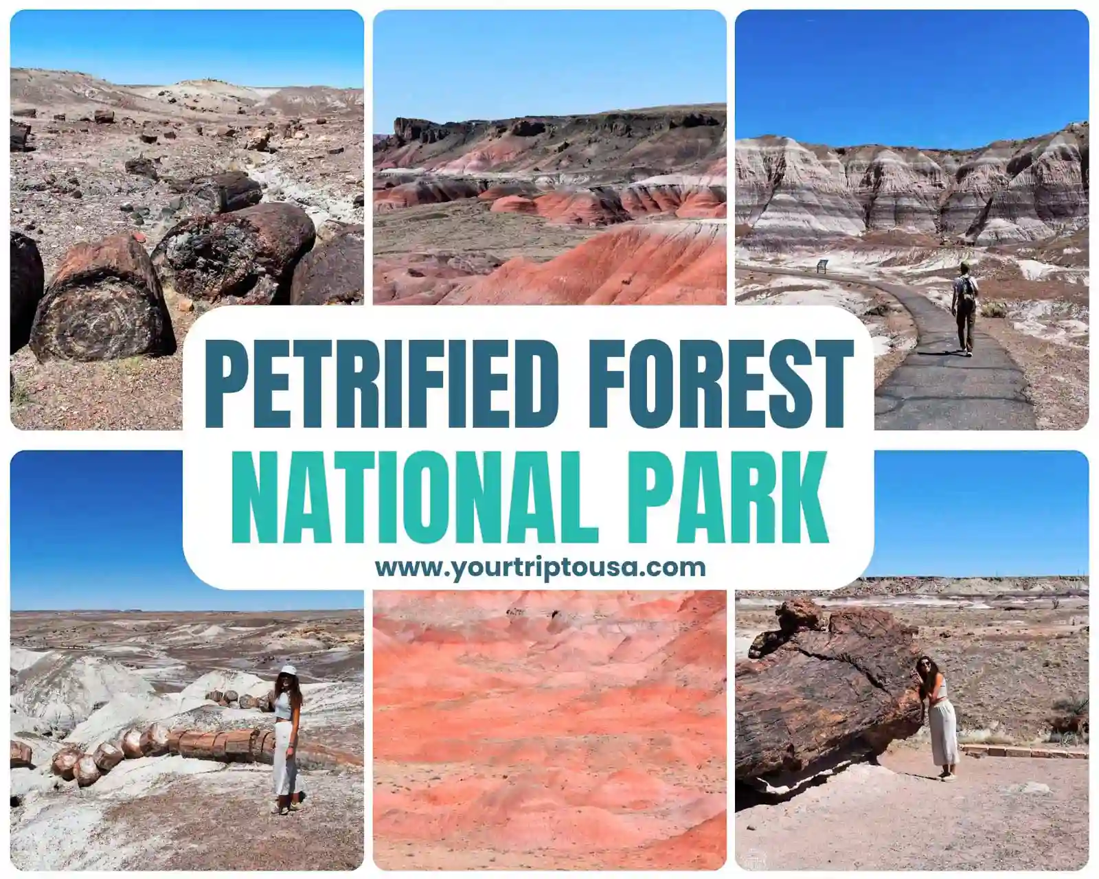 Petrified Forest National Park