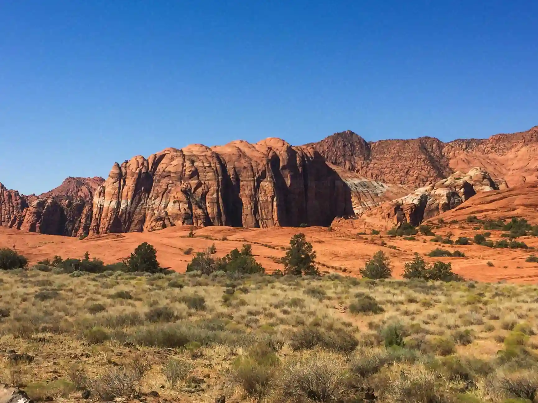 Red Cliffs National Conservation Area
