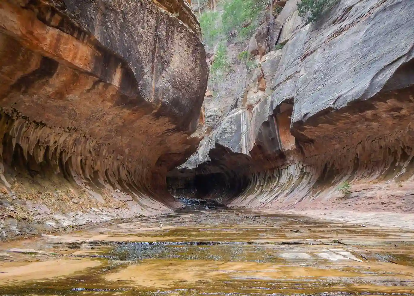 The Subway, Zion National Park