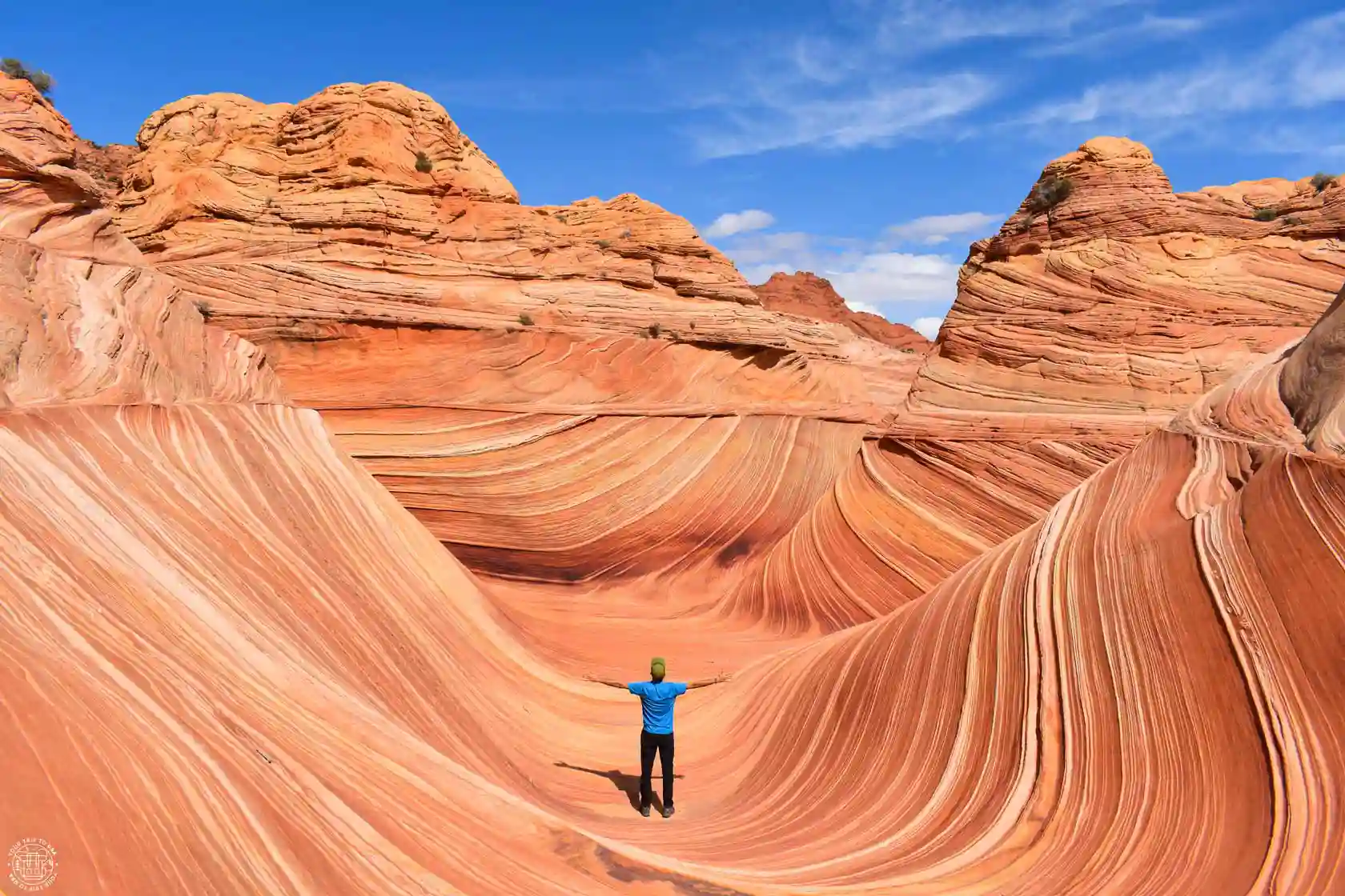 The Wave