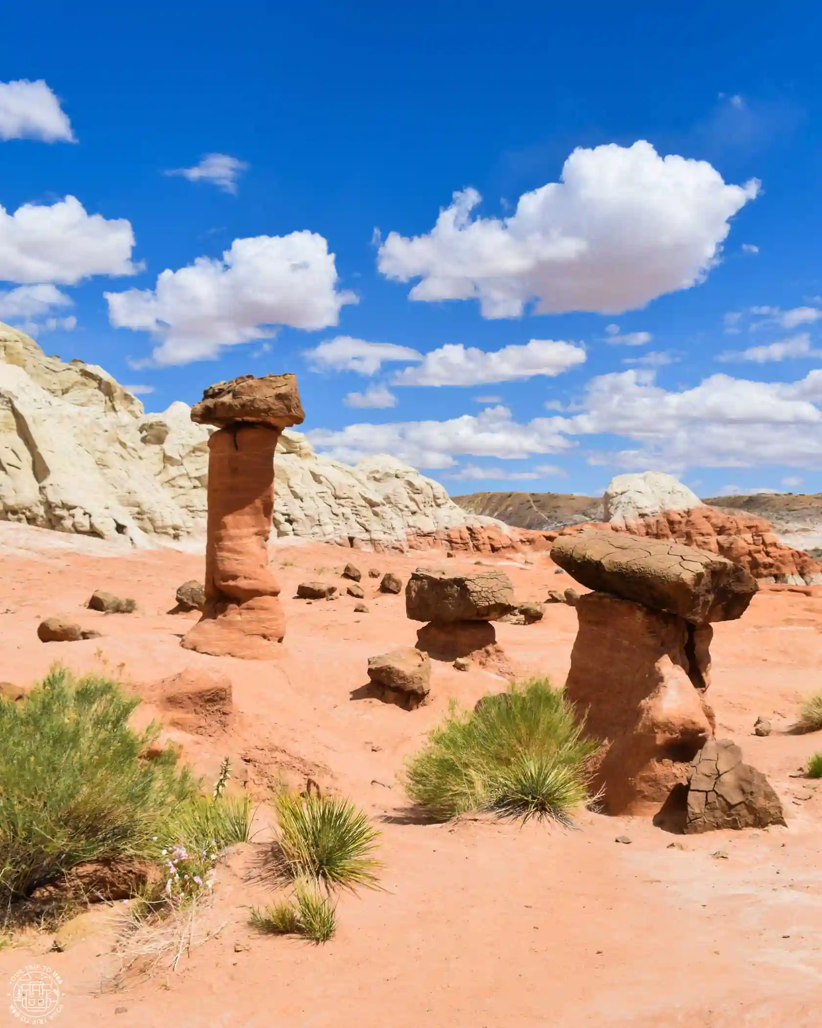 Toadstool Hoodoos, Page