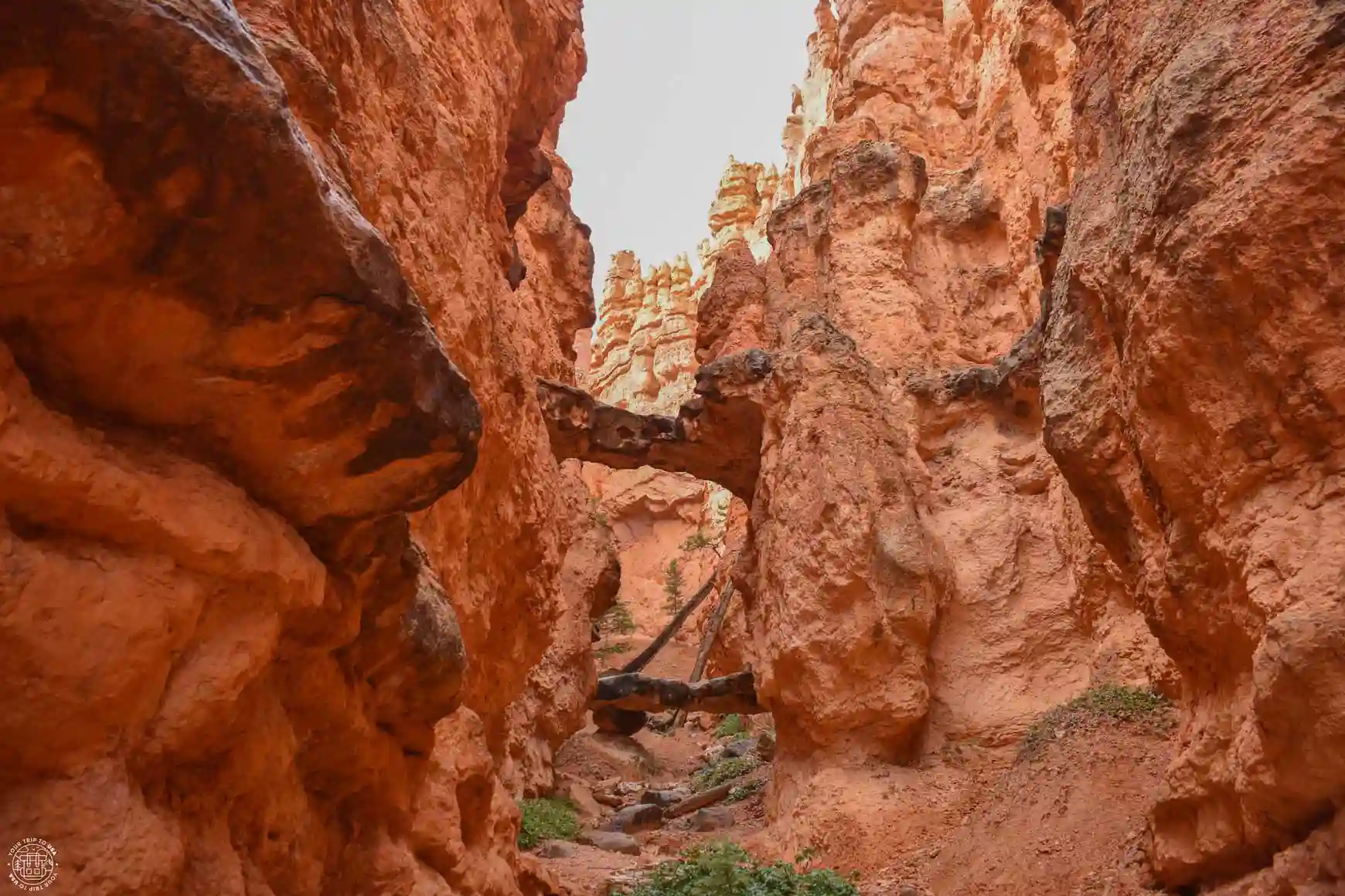 Two Bridges, Bryce Canyon
