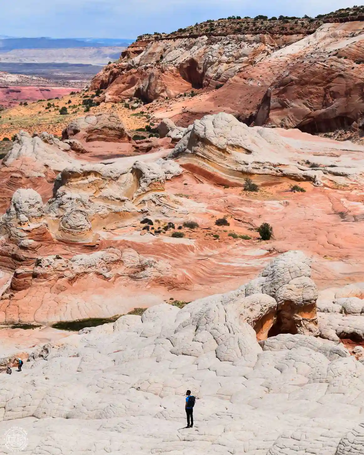 White Pocket, Arizona