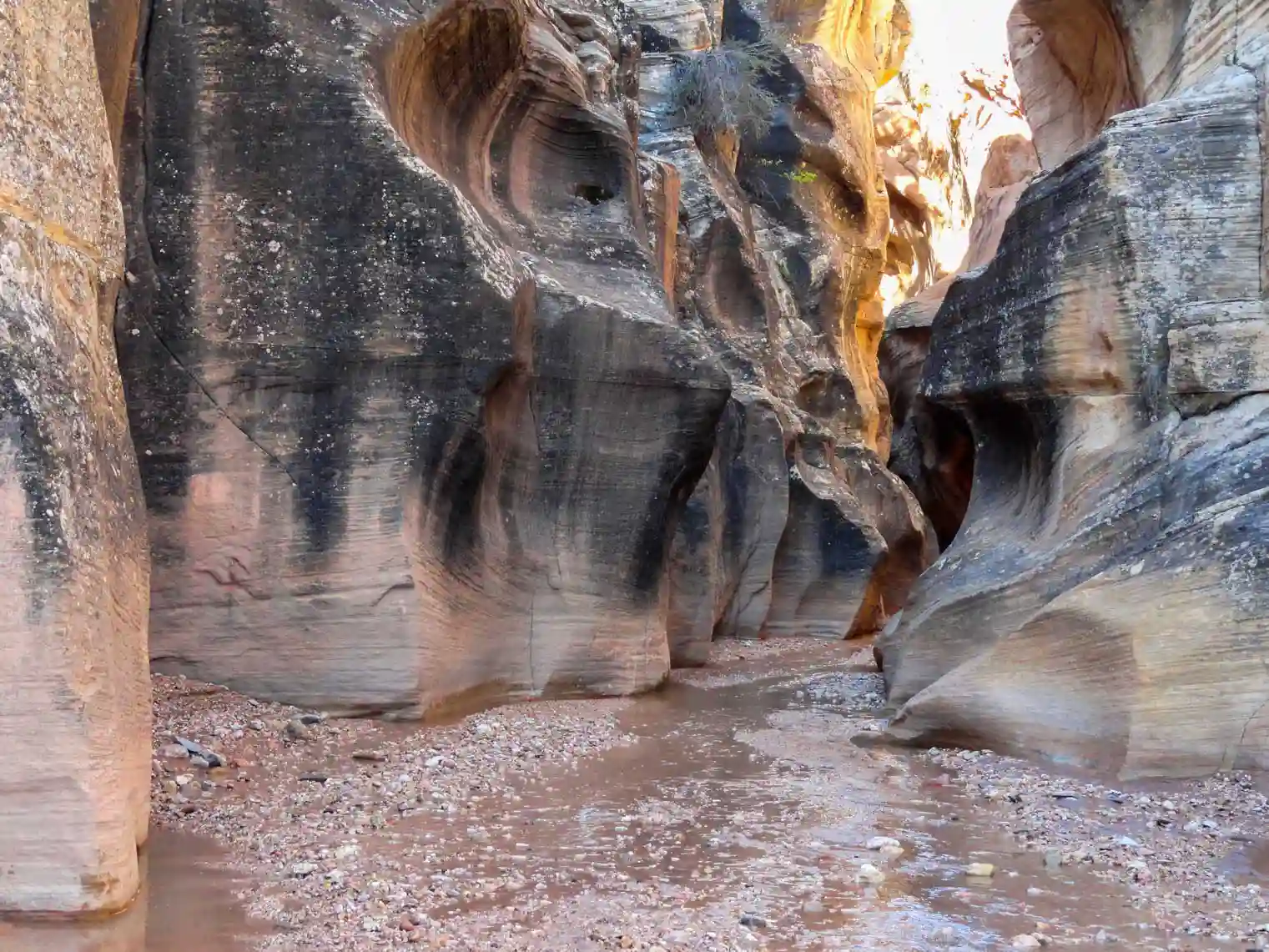 Willis Creek Slot Canyon, Escalante