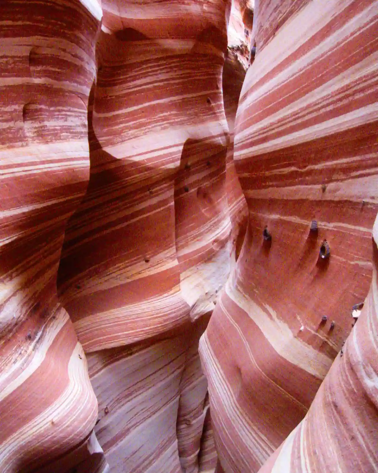 Zebra Slot Canyon, Escalante