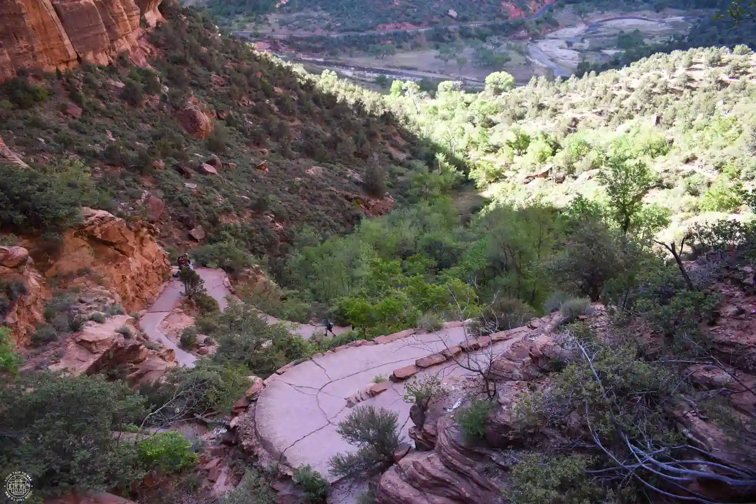 Sendero en Zion National Park