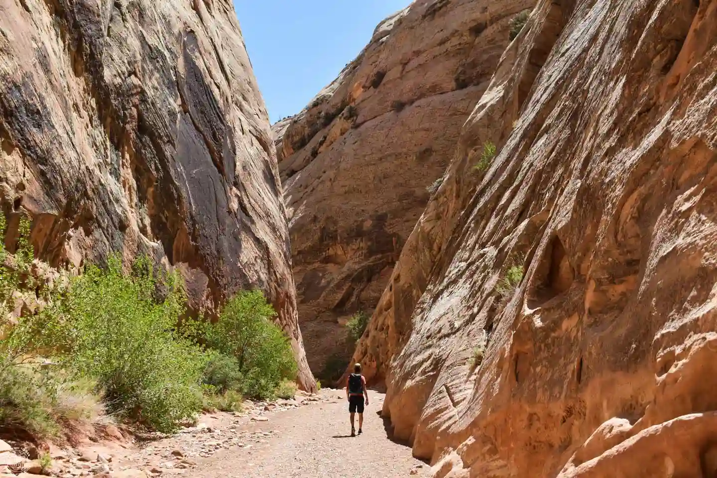 Capitol Gorge, Capitol Reef