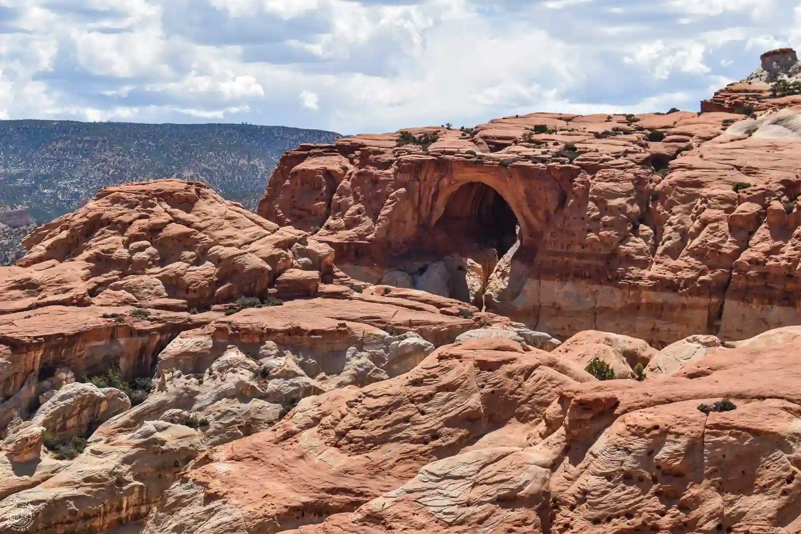 Cassidy Arch, Capitol Reef