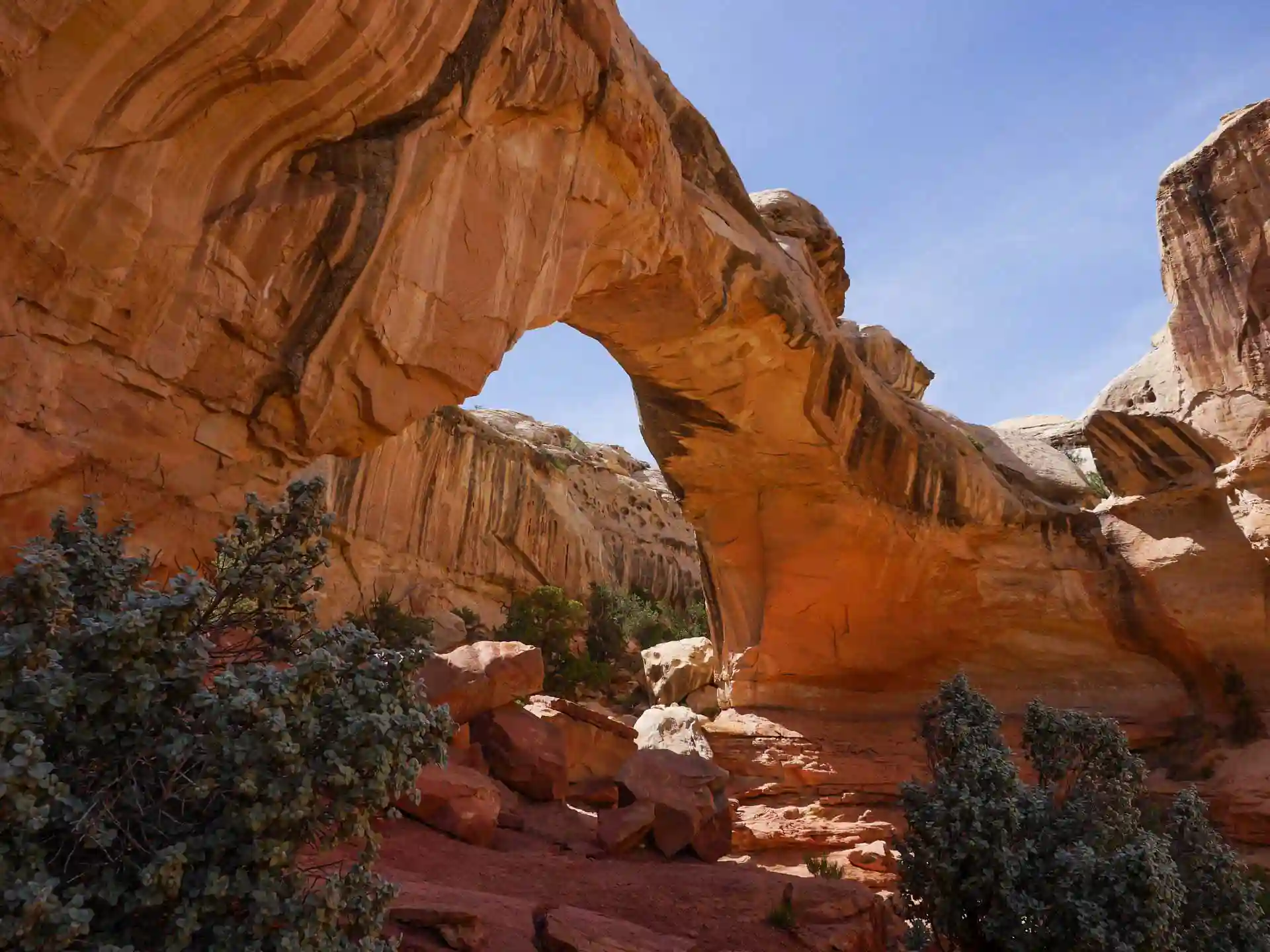 Hickman Bridge, Capitol Reef