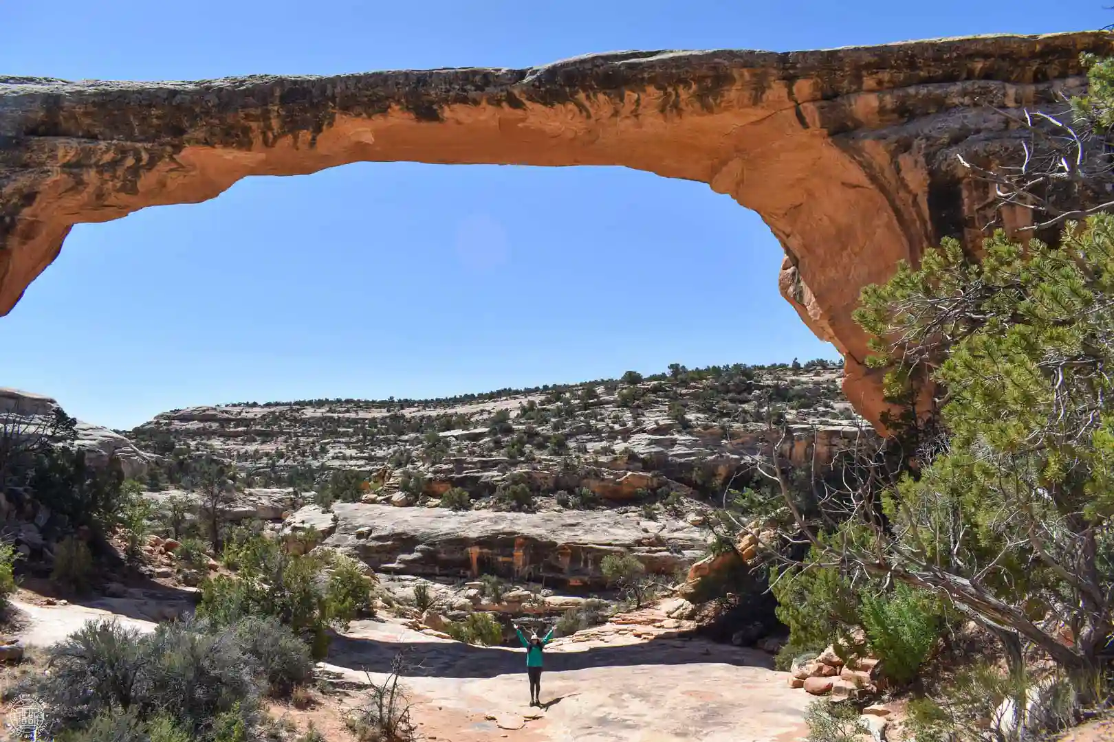 Natural Bridges National Monument