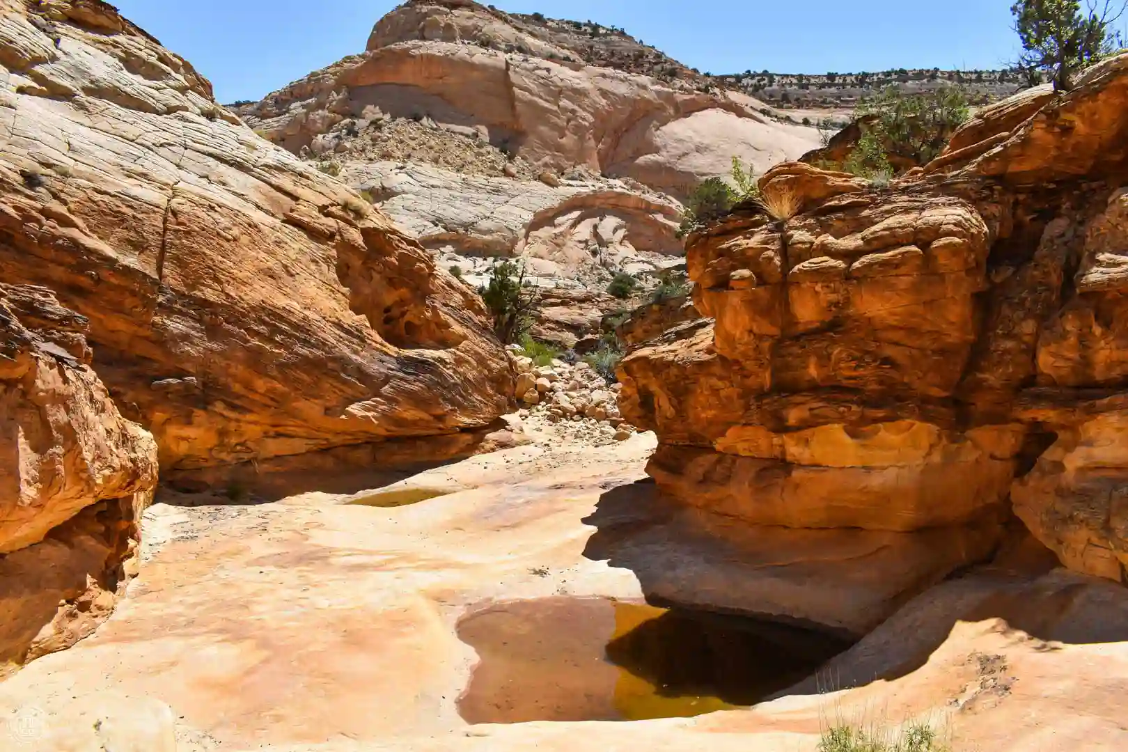 Tanks Trail, Capitol Reef