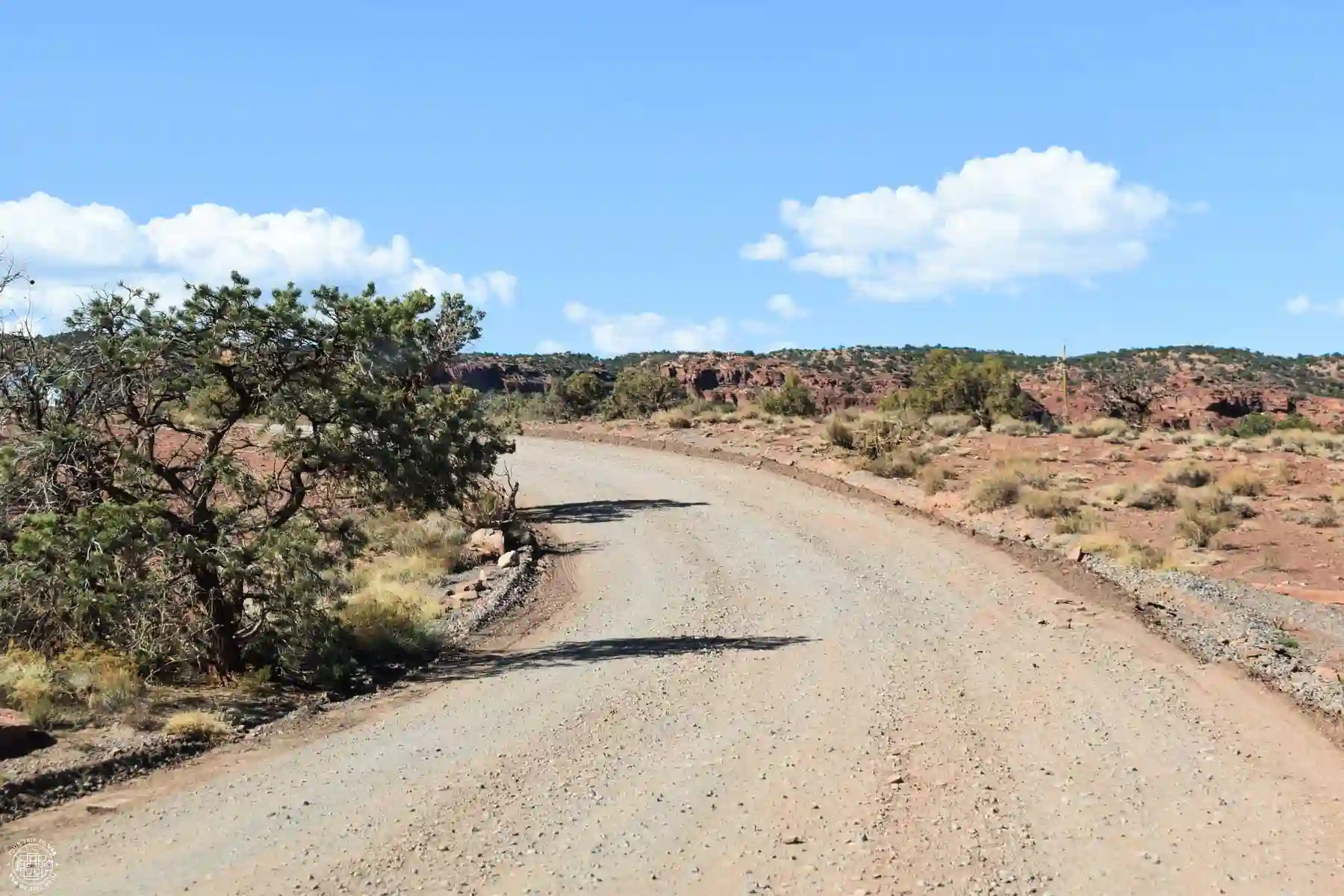 Carretera sin asfaltar en Capitol Reef